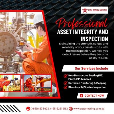 Asset Integrity and Inspection